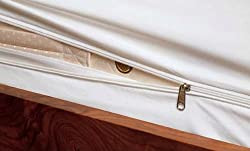 Mission : Allergy Mattress Encasing